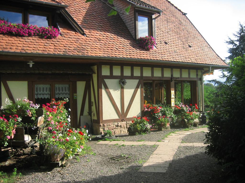 Bed and Breakfast Le Neufeld à Oberhaslach Extérieur photo