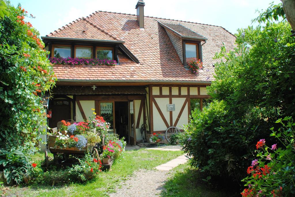 Bed and Breakfast Le Neufeld à Oberhaslach Extérieur photo