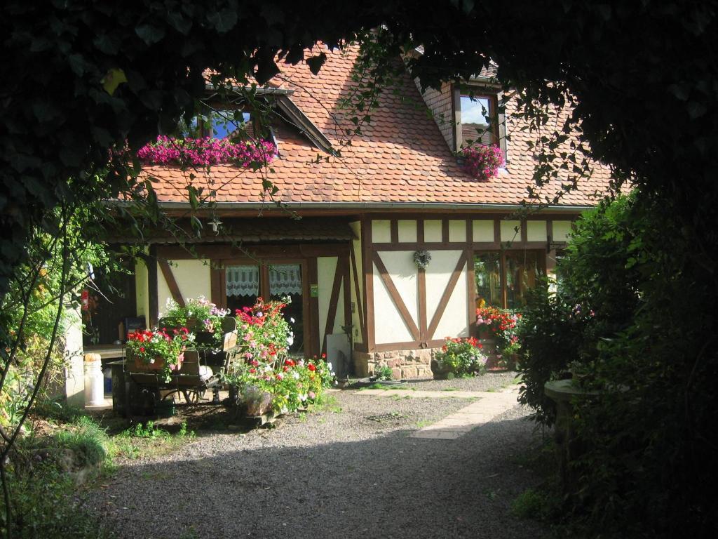 Bed and Breakfast Le Neufeld à Oberhaslach Extérieur photo