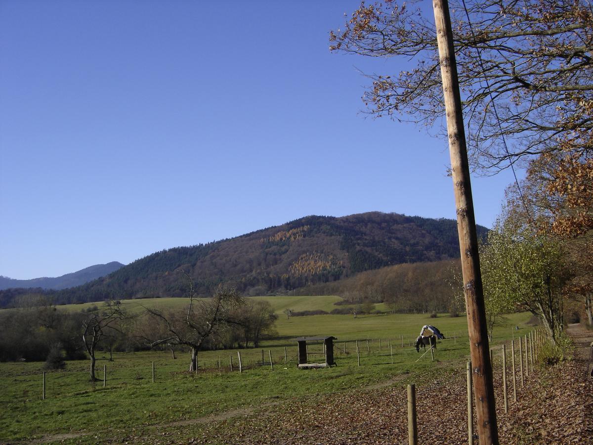 Bed and Breakfast Le Neufeld à Oberhaslach Extérieur photo